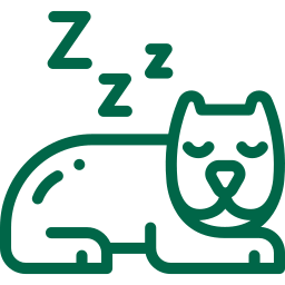 Pet rest and relaxation illustration.