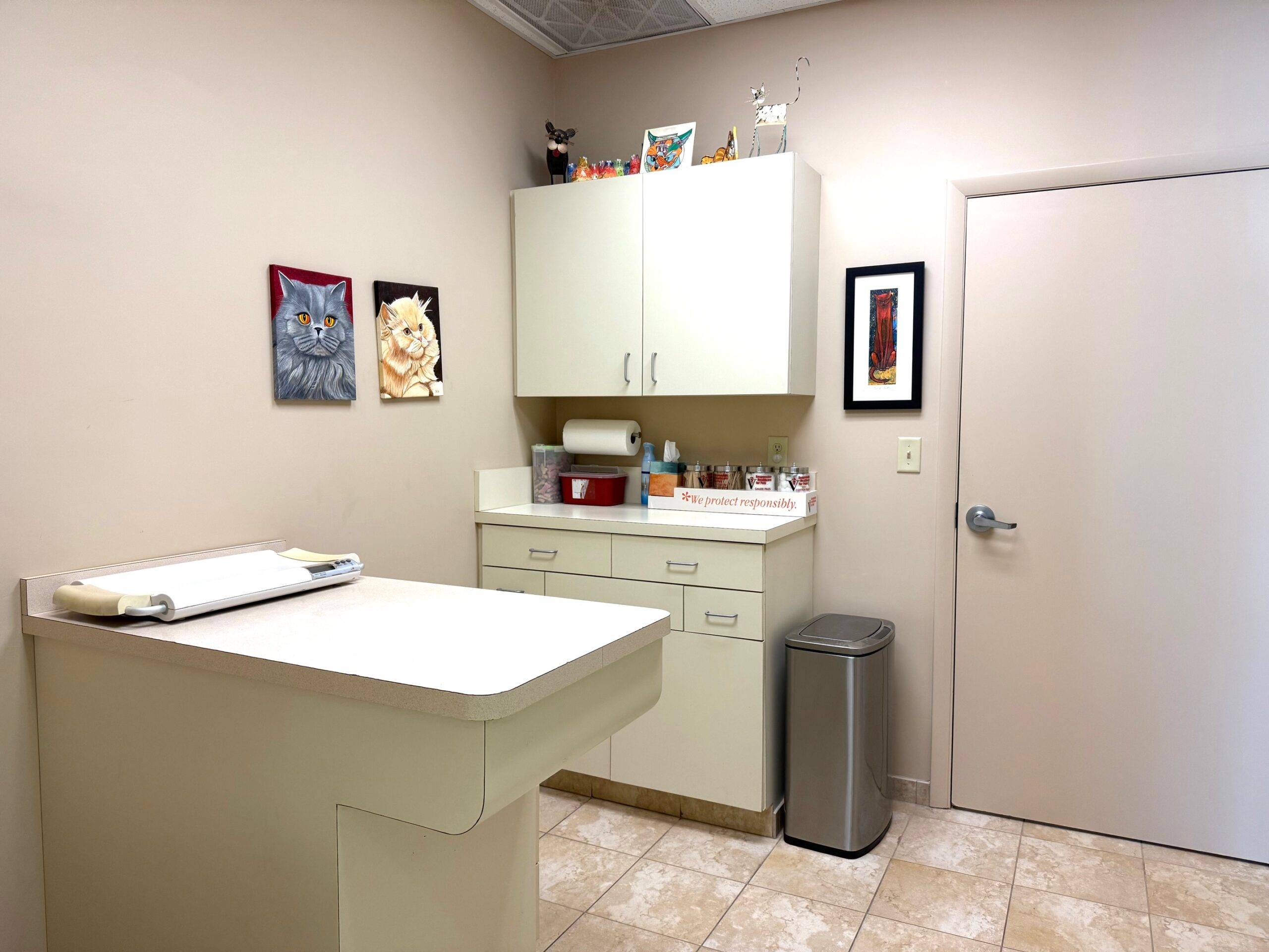 Thumbnail 2 of Floresta Animal Hospital